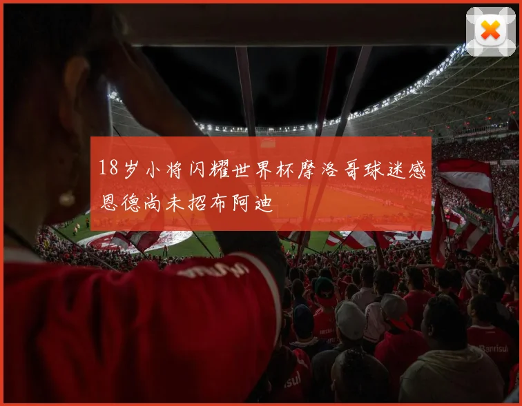 18岁小将闪耀世界杯摩洛哥球迷感恩德尚未招布阿迪
